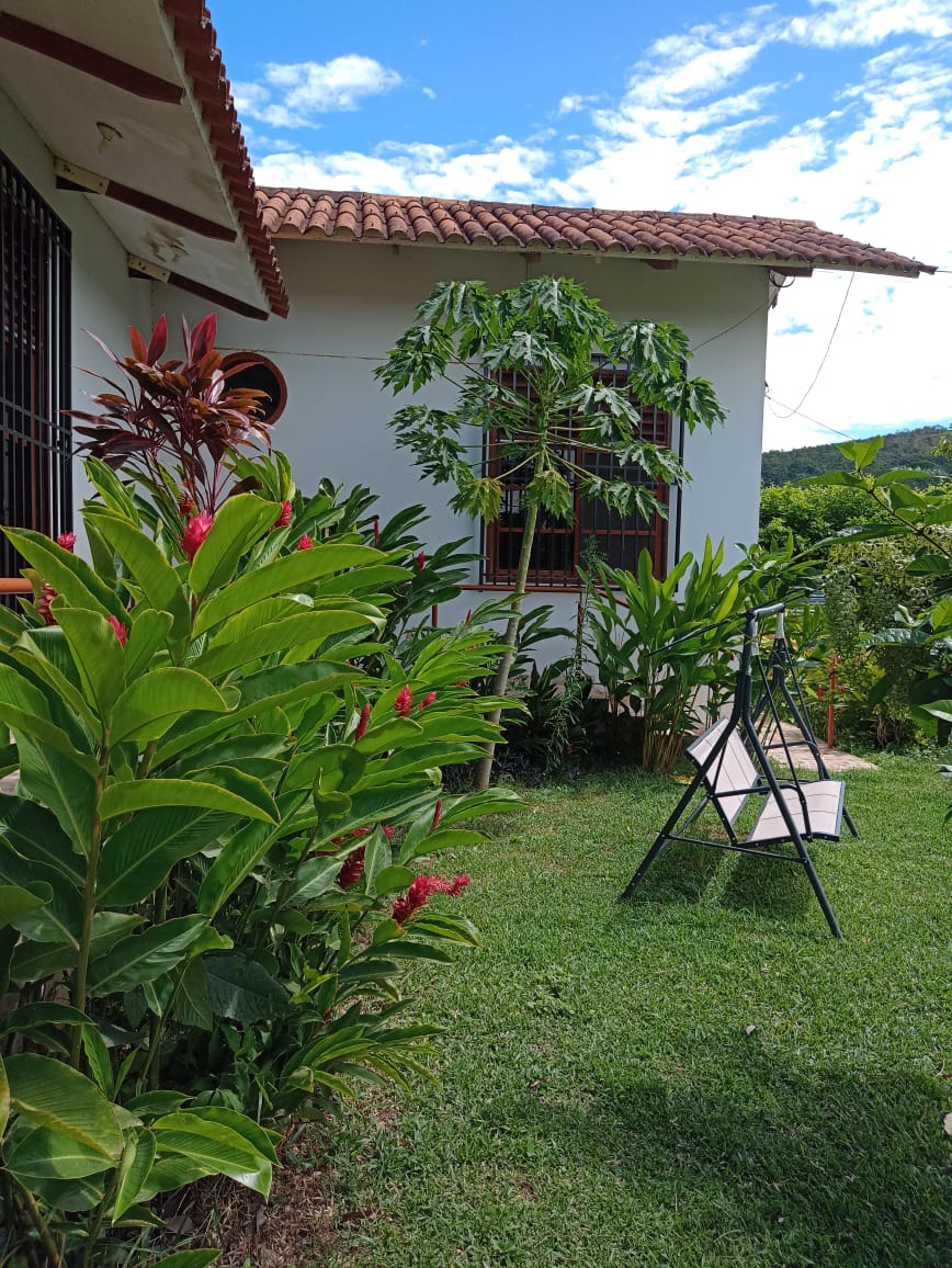 Vive en armonía con la naturaleza a solo 20 minutos de Tarapoto en un area de 4286 m2